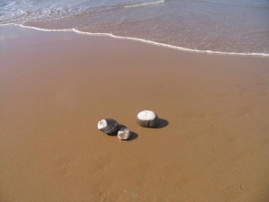 Drei Steine am Strand und Meer - Hintergrundbild Praxisgemeinschaft Beim Schlump in Hamburg Eimsbüttel